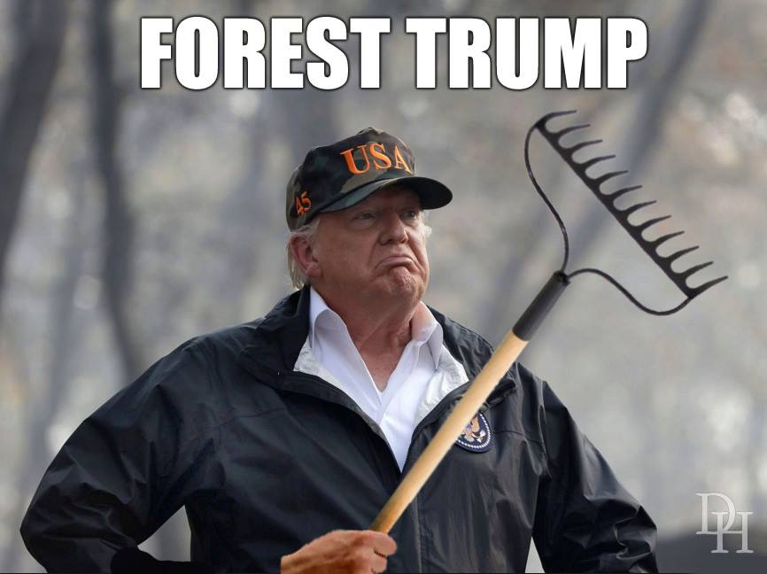 forest-trump