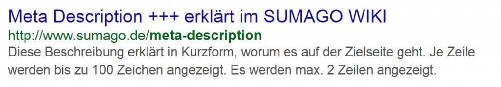 Meta Description im Head-Bereich