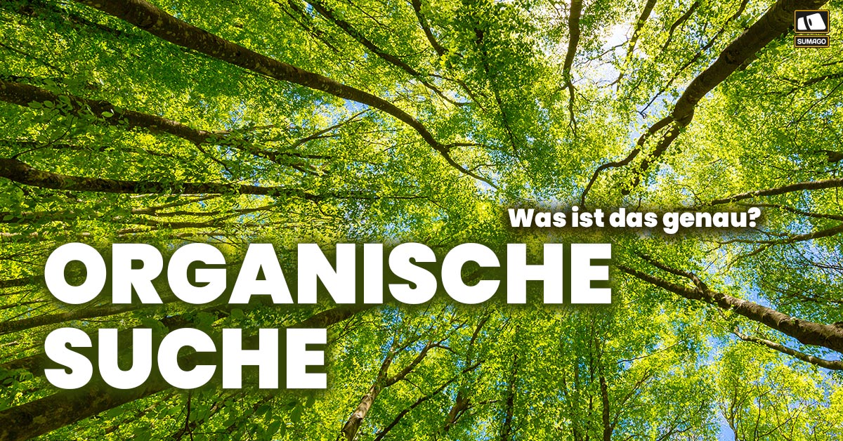 Organische Suche | Was ist das? | SUMAGO