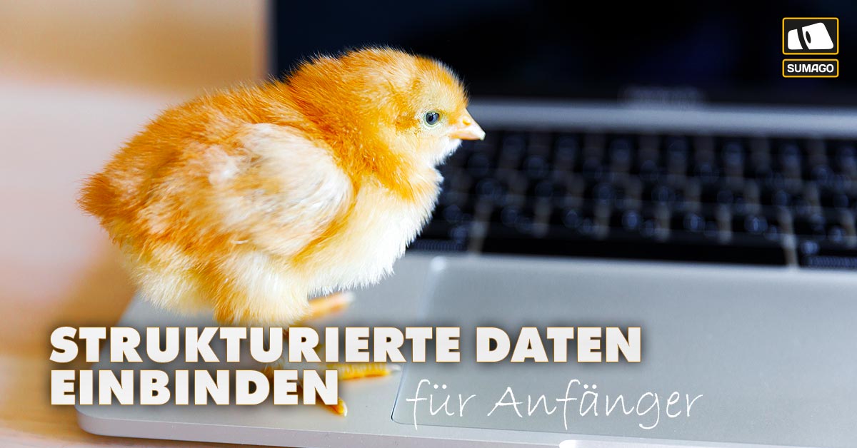 strukturierte-daten-einbinden